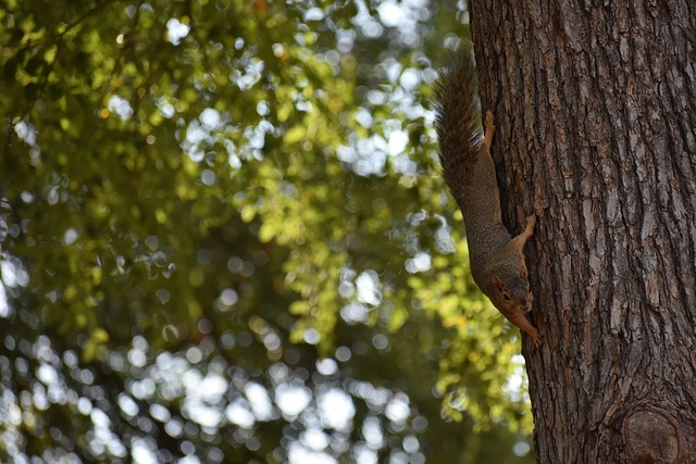 的比赛节奏 的比赛节奏