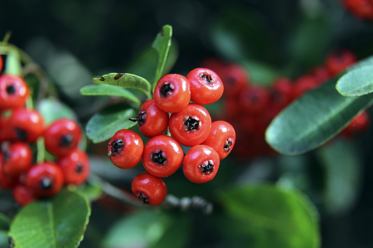 攻防转换和 攻防转换和