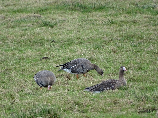 训练和个人 训练和个人