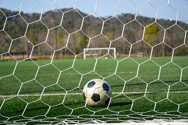 中国短道速 中国短道速