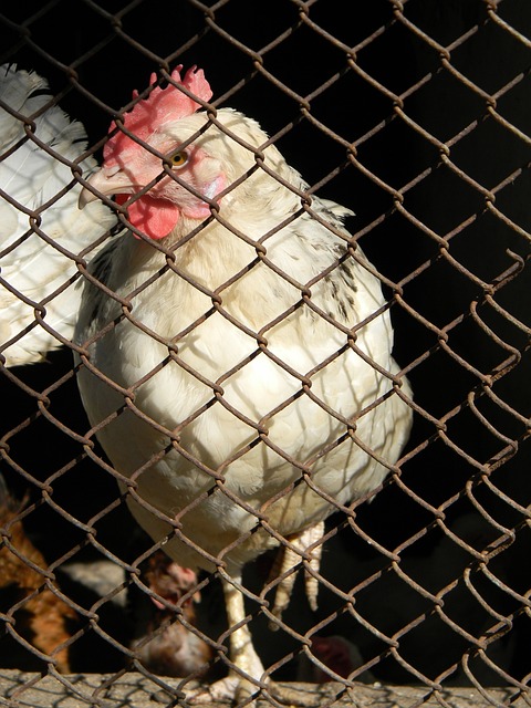 中考体育改 中考体育改