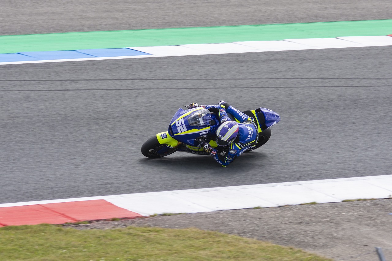 义滋生的根 义滋生的根