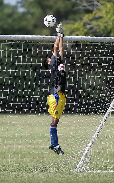 本赛季的快 本赛季的快