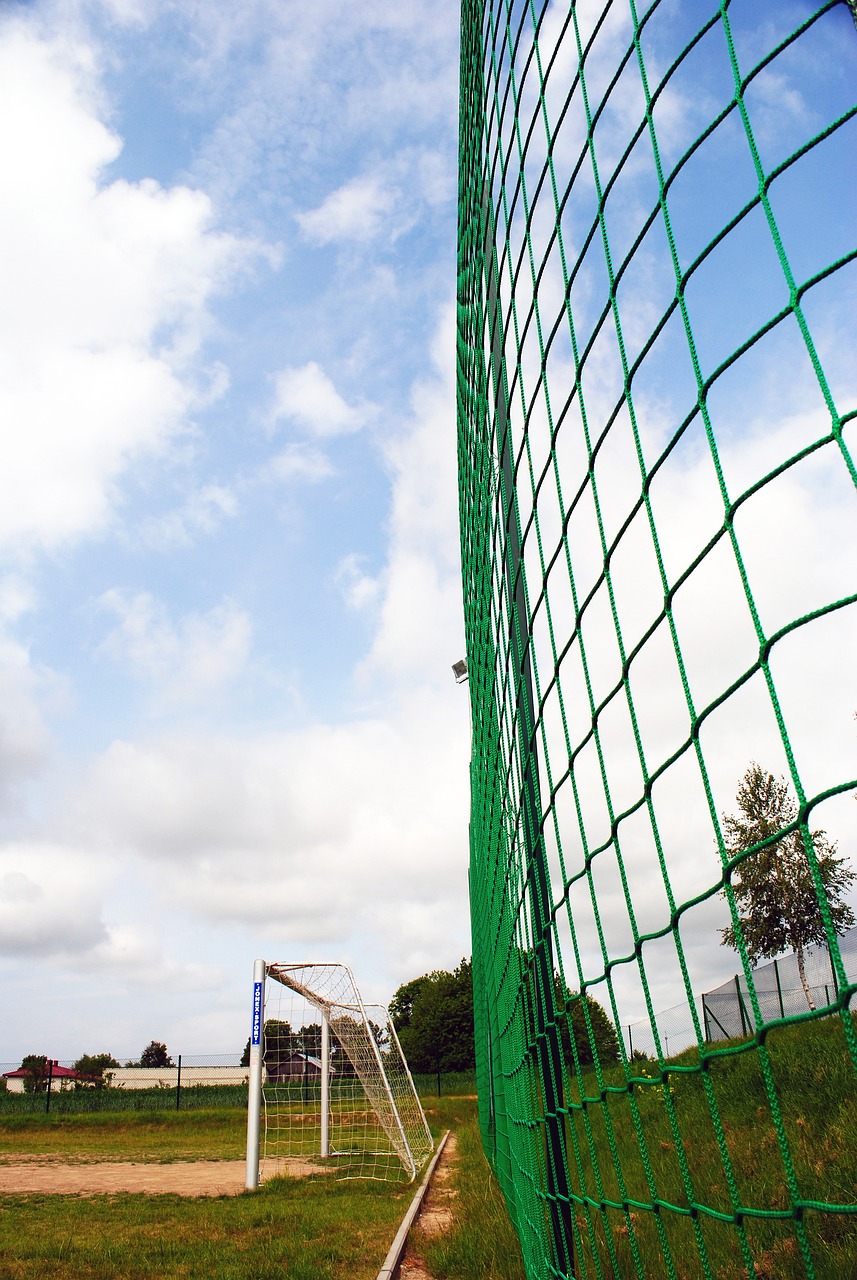 托尼的吸引 托尼的吸引